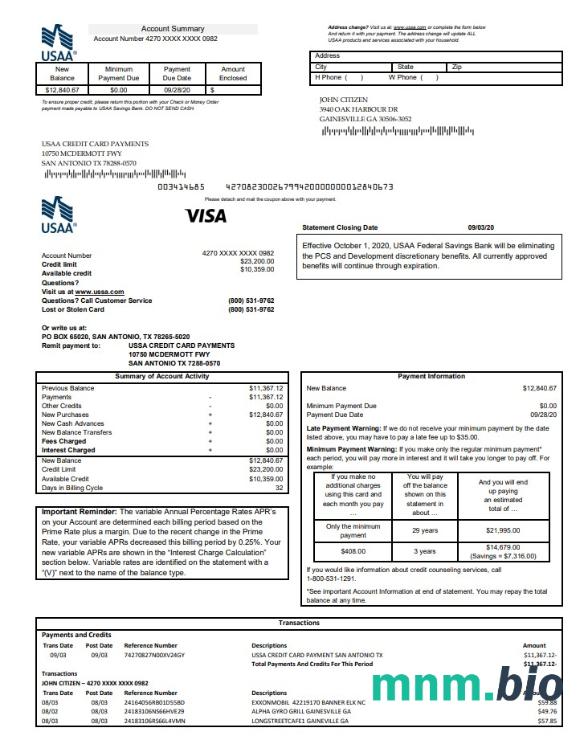 USA USAA bank karta kredytowa szablon w formacie excel pdf